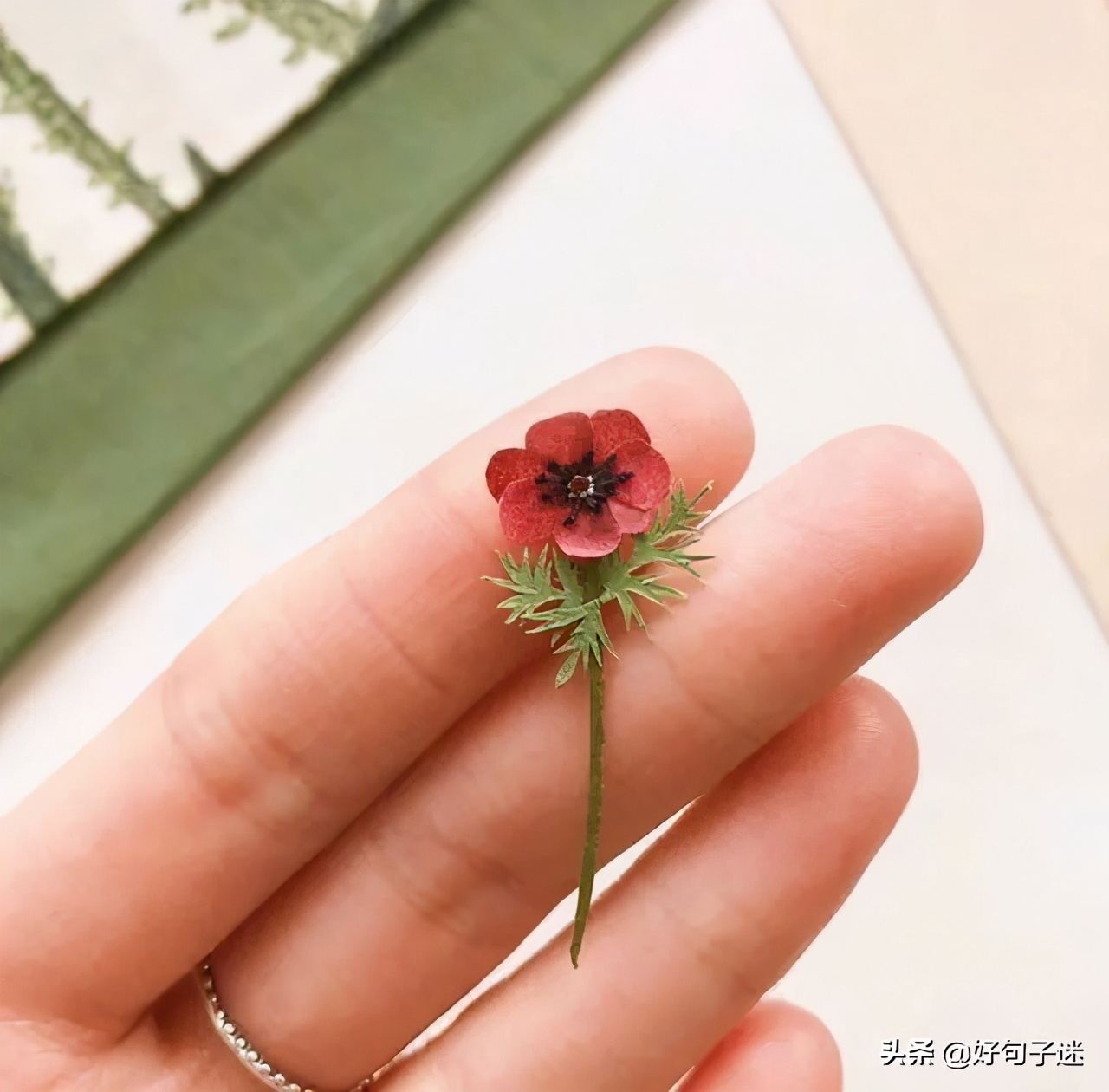 微信最红的人生感悟句子，看透世间百态