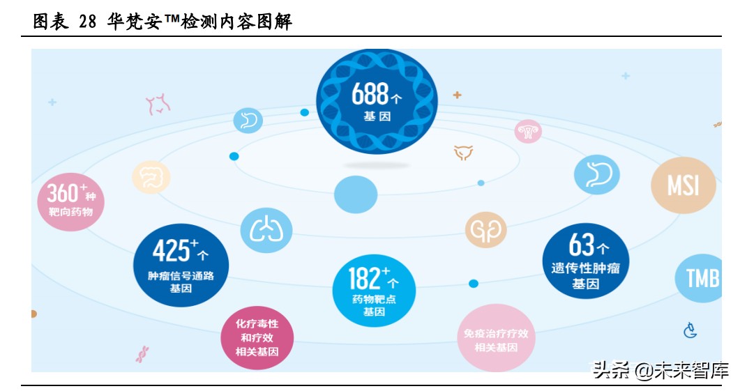 伴随诊断行业研究：核心技术突破不断，伴随诊断迎高速发展期