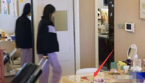 拿孙俪和自己比，陈小纭是想在“黑红”的道路