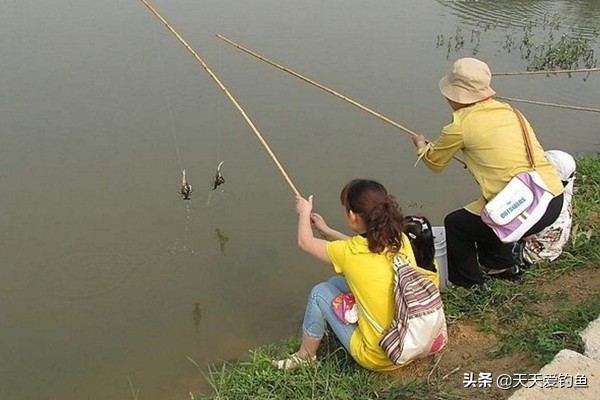 小龙虾的垂钓方法,方法简单好操作,一个小时钓一大桶