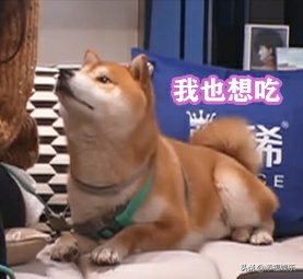 郑爽谈和许魏洲的相识过程，同处一个化妆间却