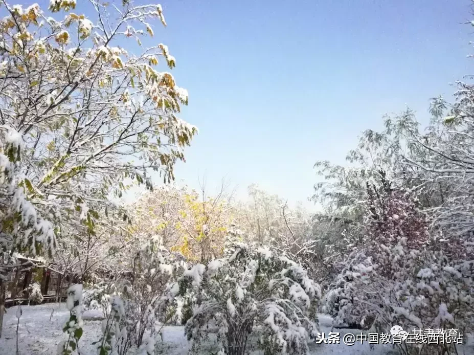 甘肃初雪|甘肃18所高校初学雪景大PK,快来看看有你的母校没?