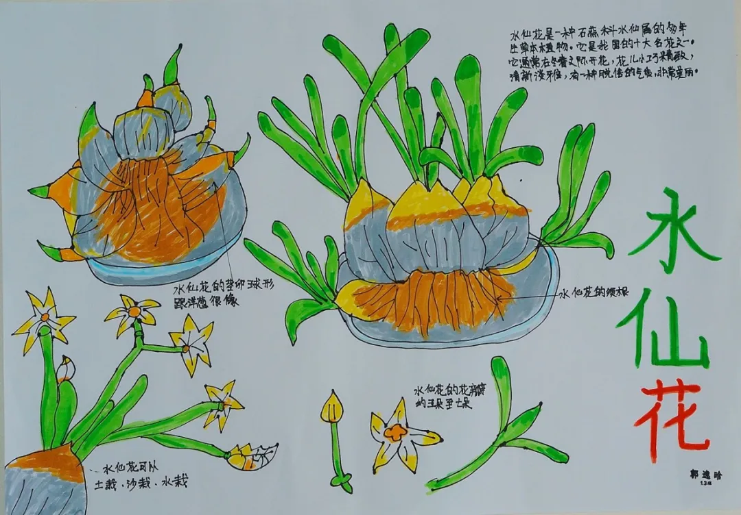 玩转科技节，开广好奇心——天府新区华中附小首届科创节活动