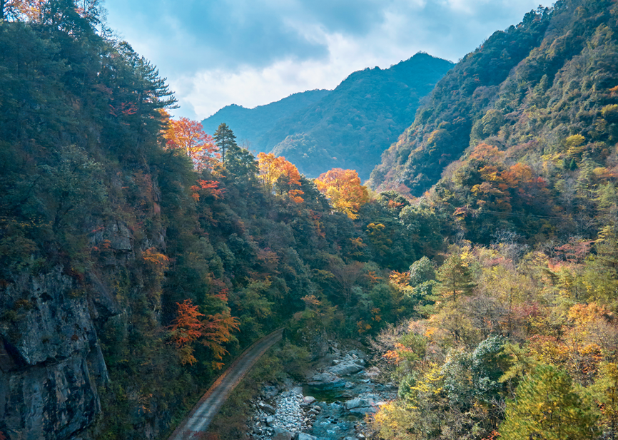 四川|媲美光雾山！平武这条沟，藏着一个惊艳的彩林秘境！