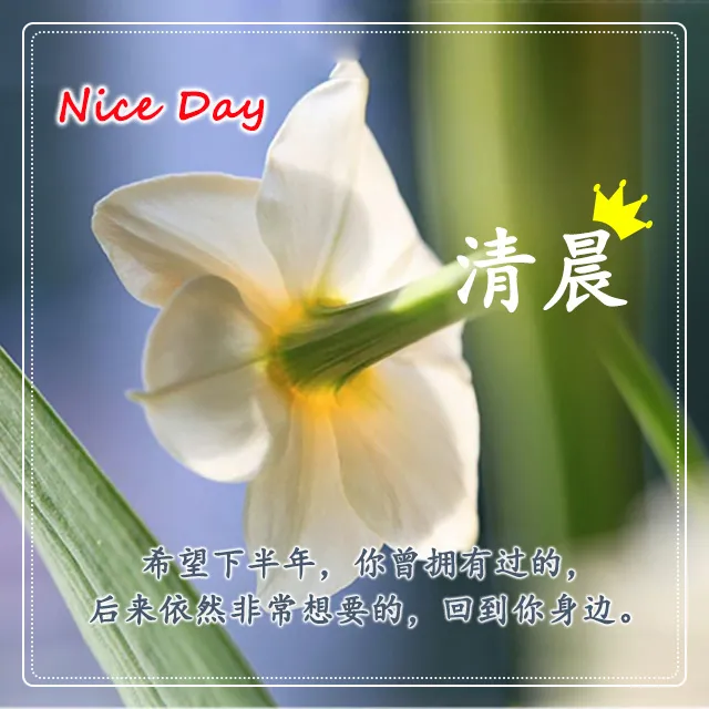 清晨各种问候语的动态图片 有趣的早安问候语和图片图片