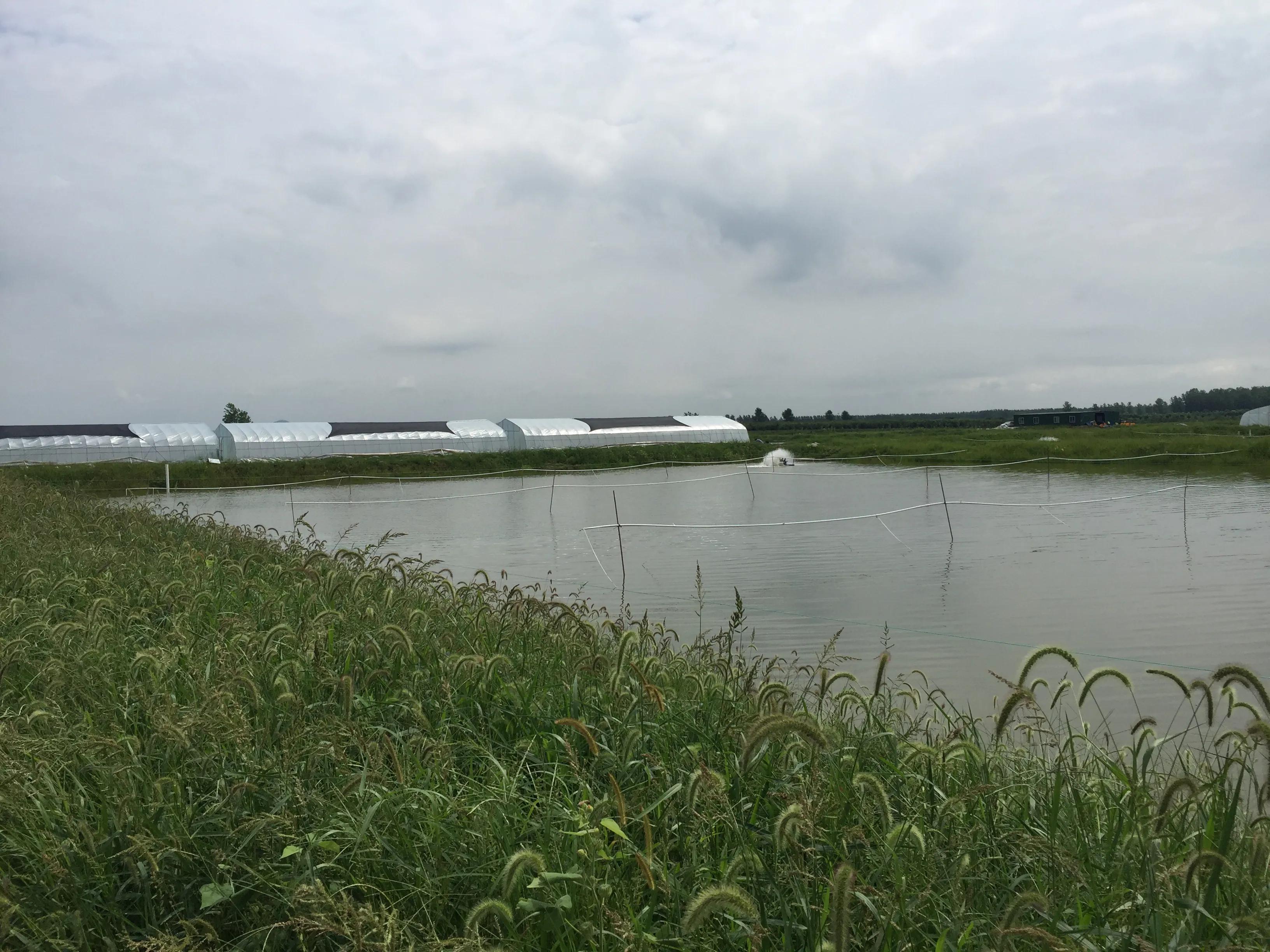 武汉知音故里（蔡甸)着力打造生态水产品金字招牌“品原生”