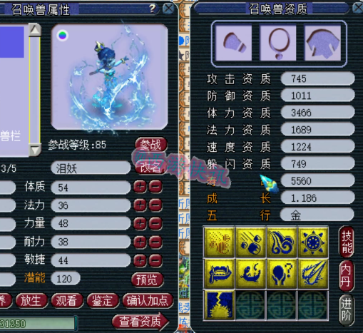 梦幻西游：12技能护盾天女打书！炼妖炸出14技能胚子被迫回炉