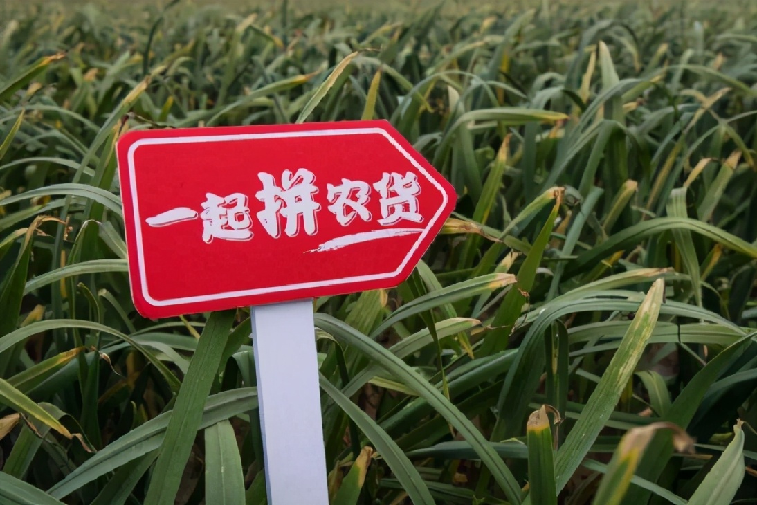 Spell thing of great new Ren Dong to grow Chen Lei: Do not have again below the line on the line crack