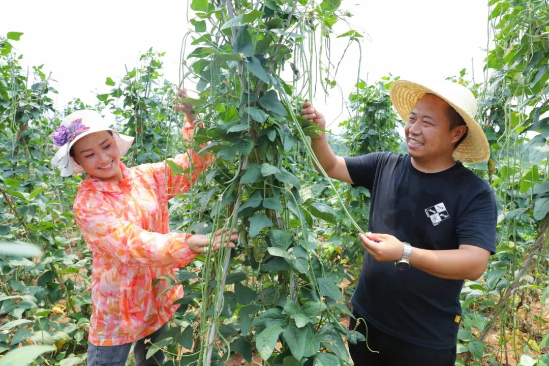 不想在生意场“瞎忙”，他导演了一场乡村“变