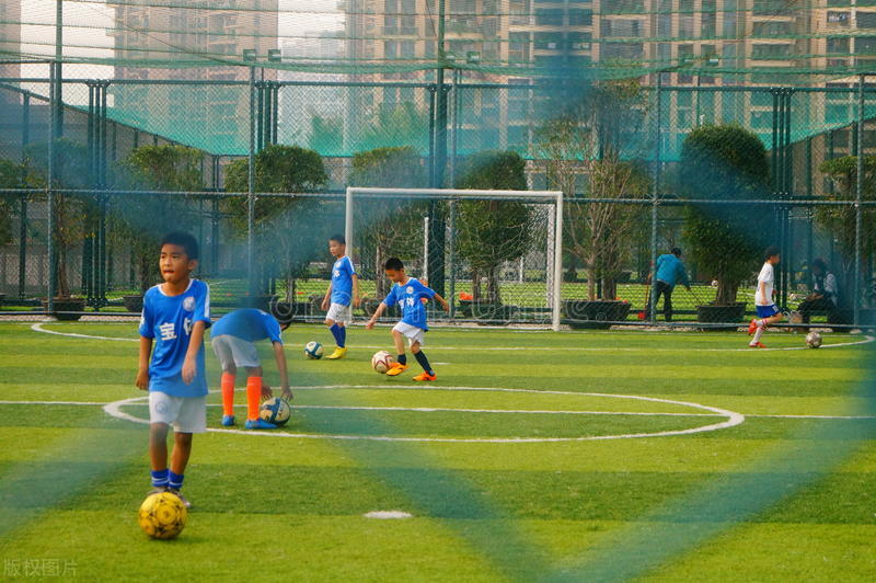 体育培训班教务管理系统找哪家？