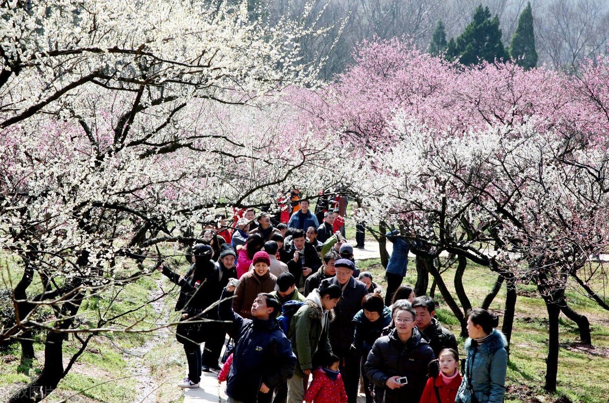 清明节21年几月几号 清明节有哪些风俗活动 壹健康经验 广东壹健康 Mdeditor