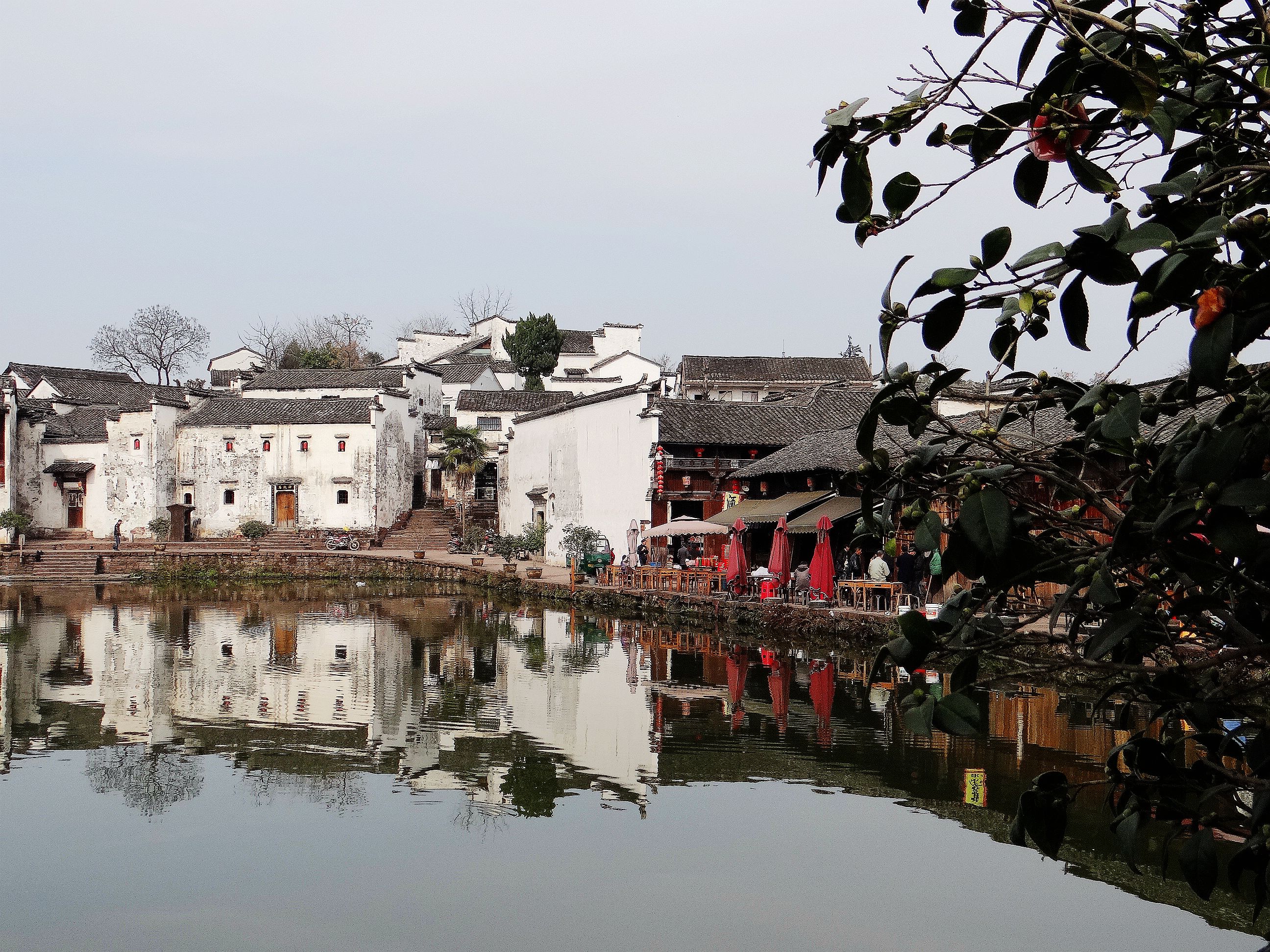 诸葛八卦村构建神奇，后世子孙多以医药为业，这是为了什么原因？