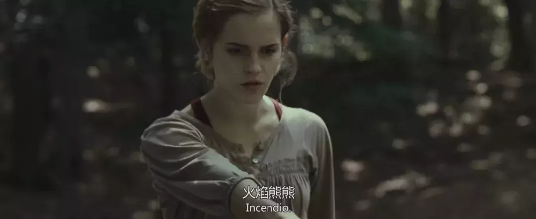 《哈利·波特》魔法世界咒语大全