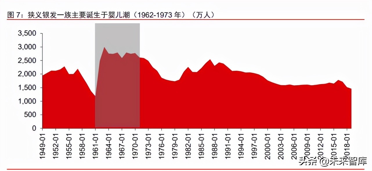 消费行业专题报告：解码国产品牌崛起