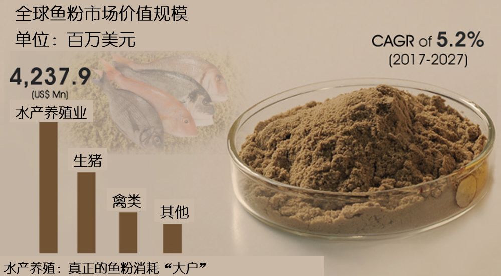 秘鲁鳀鱼：“鱼粉大王”与中国市场的“博弈”