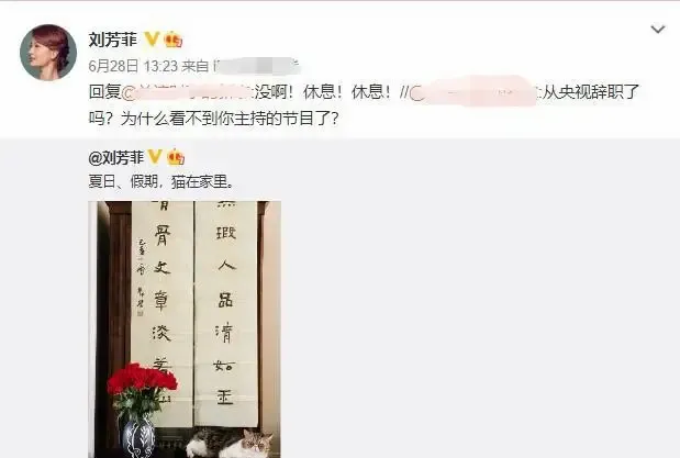 央视美女主持刘芳菲豪宅曝光,身后肖像画显眼
