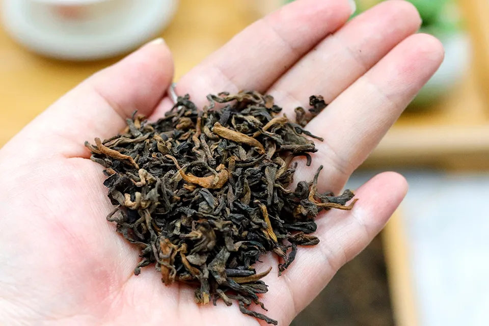 普洱茶这样储藏就废了！你竟然不知道？