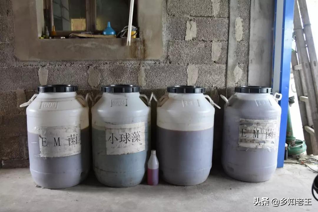 农乐生物 生物菌剂价格贵?教你通过扩繁降低成本