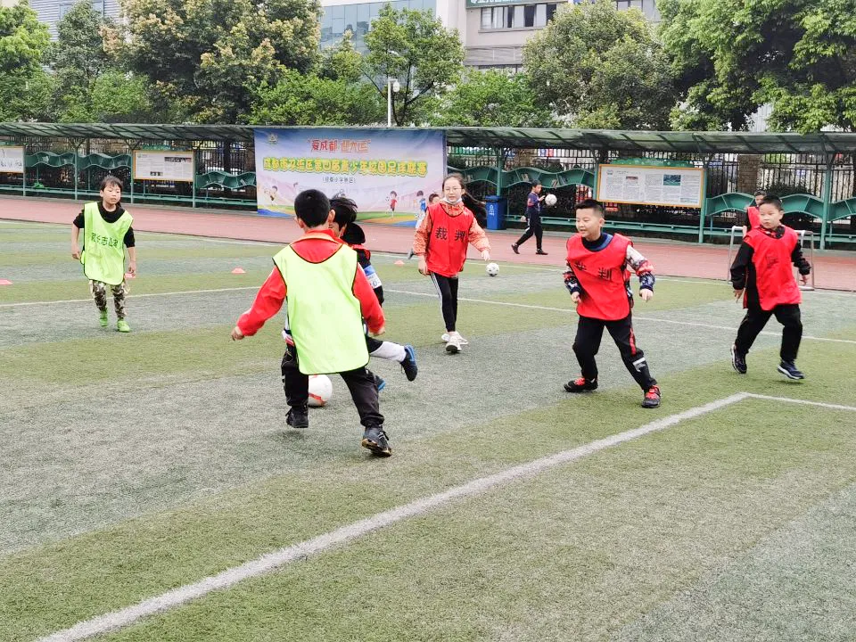 成都市双流区东升迎春小学乡村少年宫暨项目制社团活动