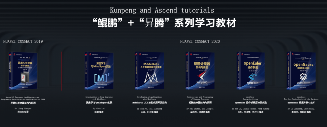 华为昇腾的另一面