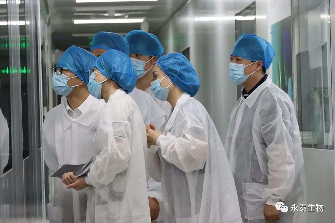 永泰生物-B携手德国柯尔柏打造智慧医药新工厂