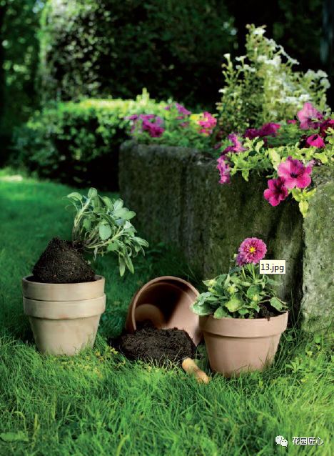 红泥陶盆，提升花园颜值的利器