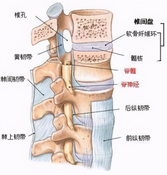 腰椎管狭窄患者手术和非手术治疗丹麦国家临床指南