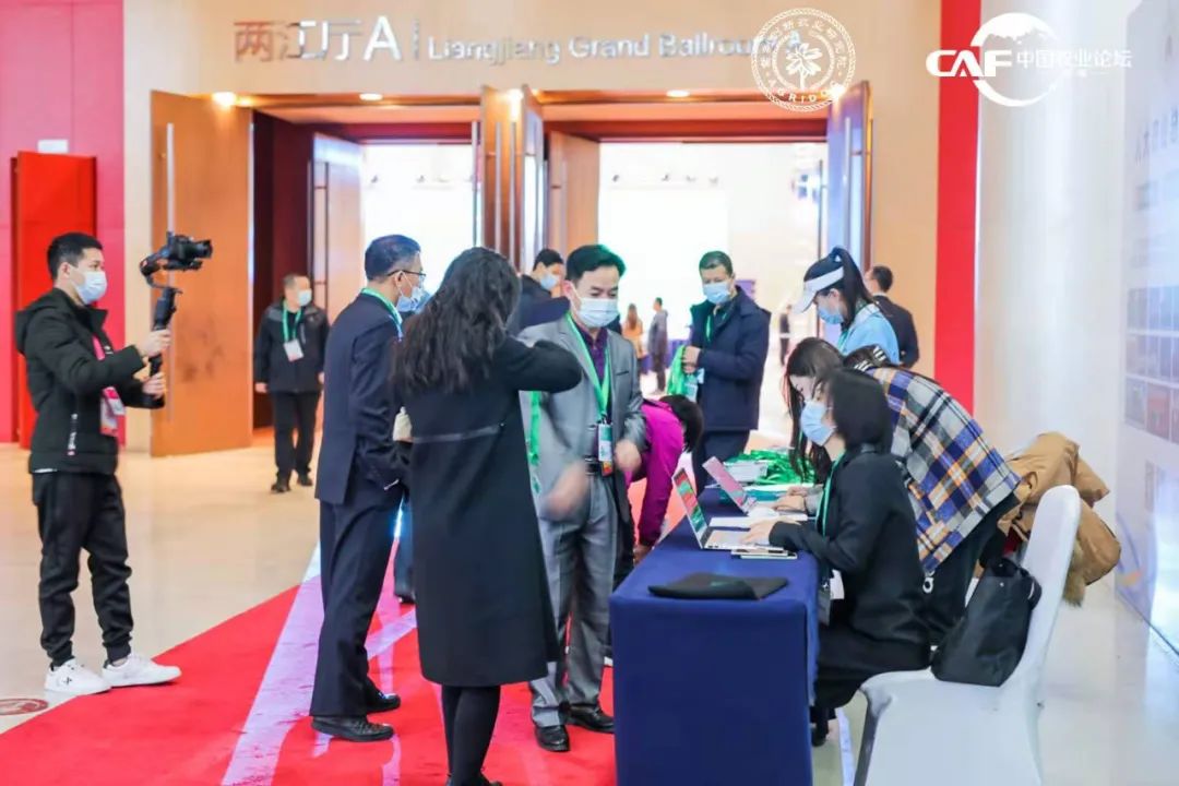 让定心绿茶走出国门，享誉世界