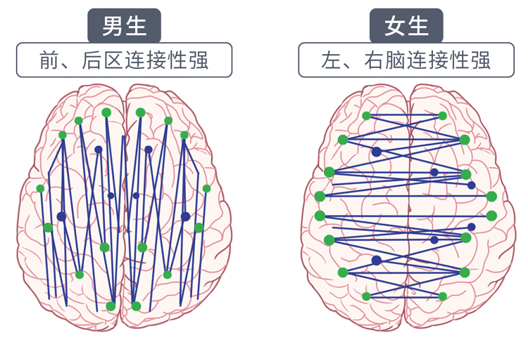 男女思维的差异在哪里?了解各自的脑回路,成为沟通高手