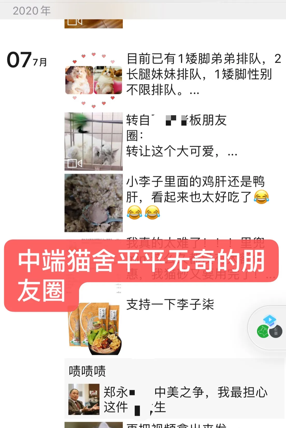 養貓2年賺35萬，這個副業投入少收益大