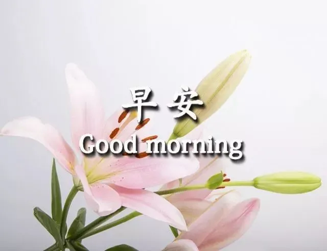 大家早上好最拳表情图  早上好问候语表情图片大全图片