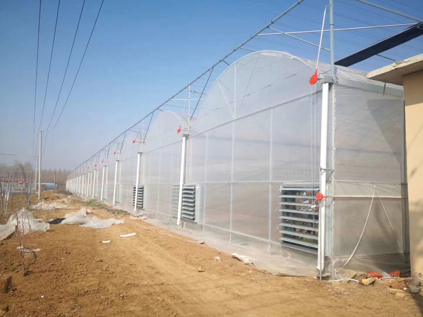 经济价值高的羊肚菌大棚如何设计建造？羊肚菌大棚建造难点