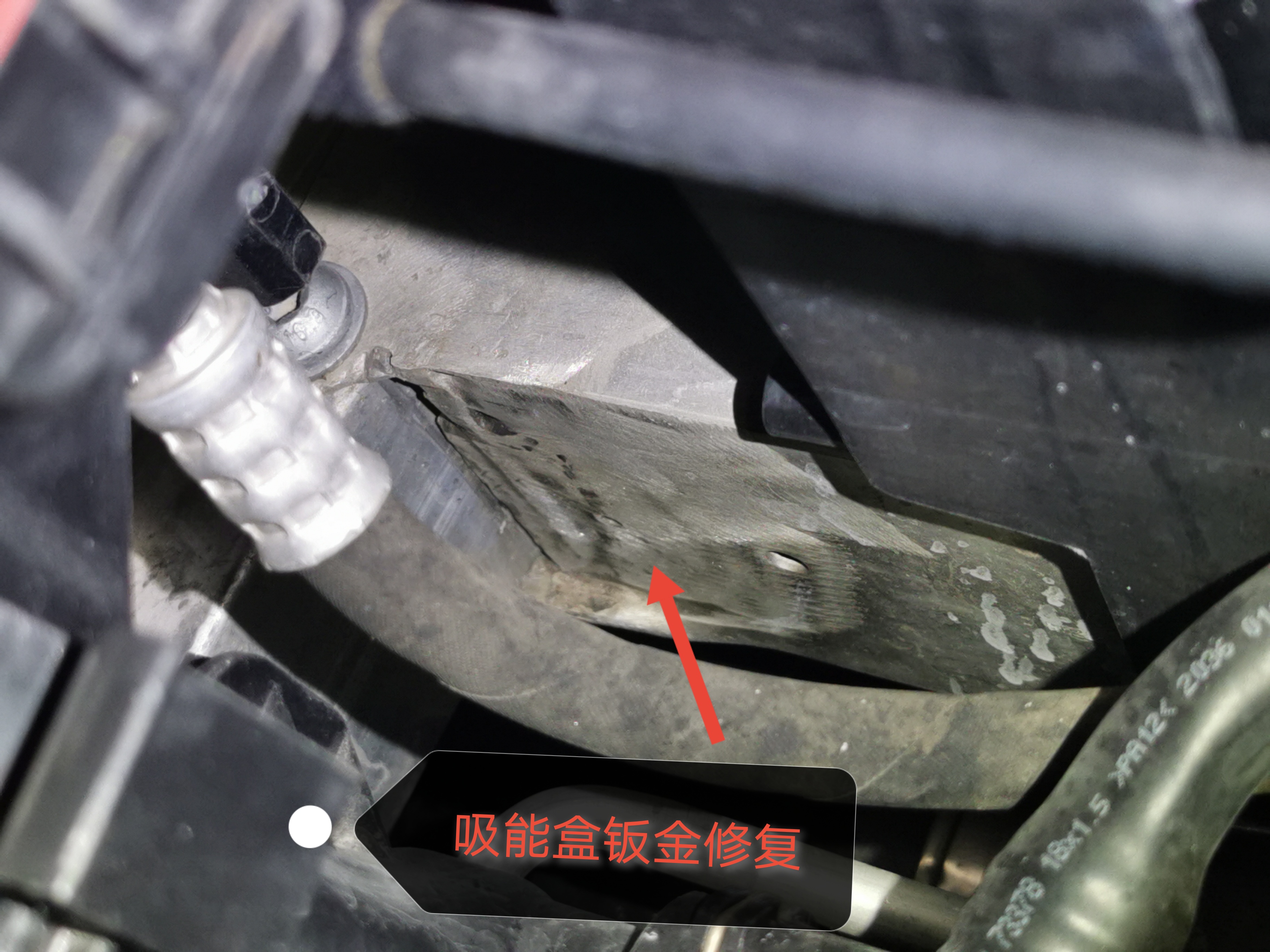驗完車，才知被包了餃子