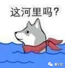 把数学函数印在T恤上却被告侵权,这位程序员怒了