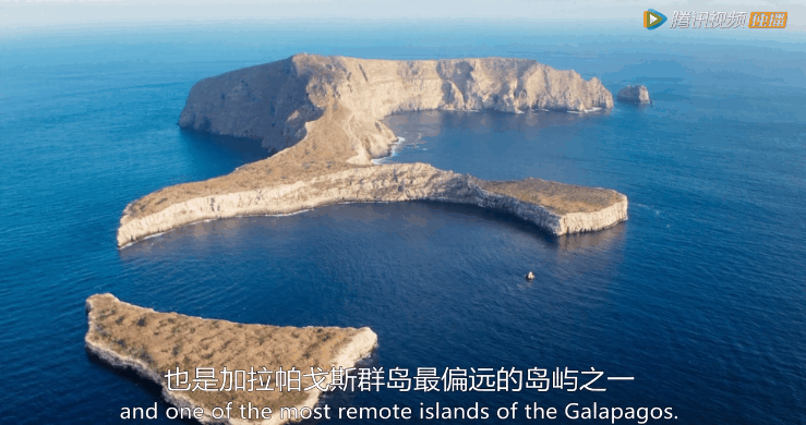 看完BBC《完美星球》第一集火山，梦回奇幻的加拉帕戈斯群岛
