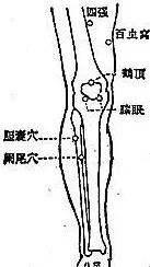 身体小毛病,按压8穴1经,帮助你预防小病变大病-第19张图片-农百科 身体小毛病,按压8穴1经,帮助你预防小病变大病-第19张图片-农百科