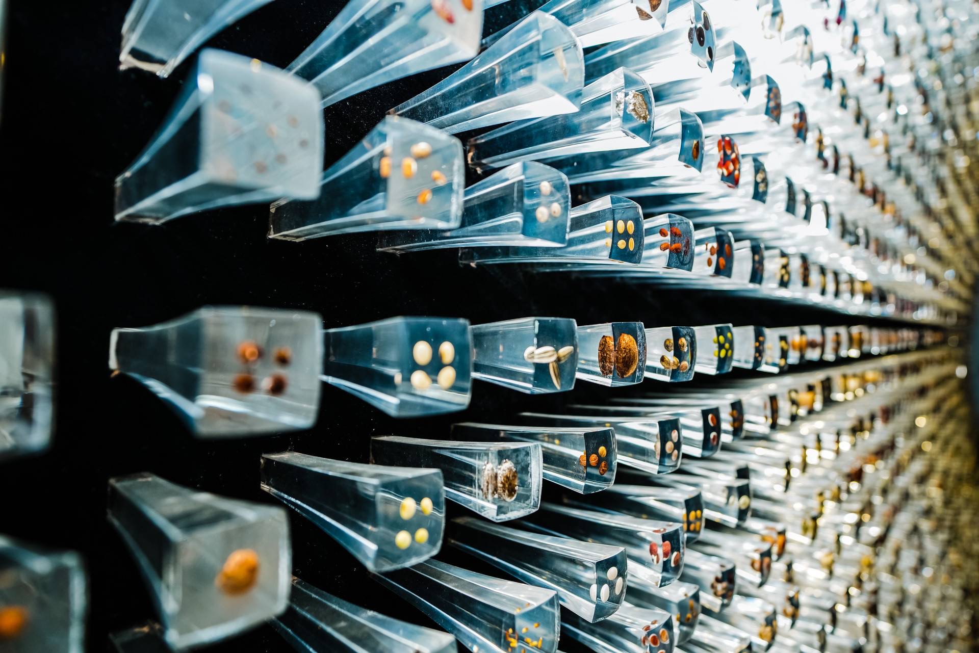 讲好美丽云南故事万物生长万物和谐云南生物多样性保护