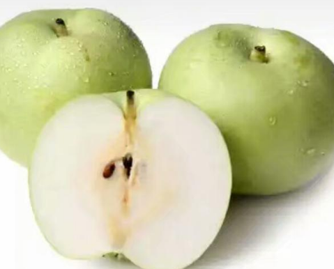 6月底新梨即将下树，收购价格是多少？