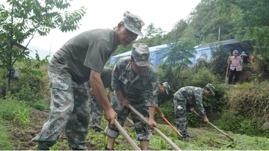 云南漾濞：军民携手“栽种”生活希望