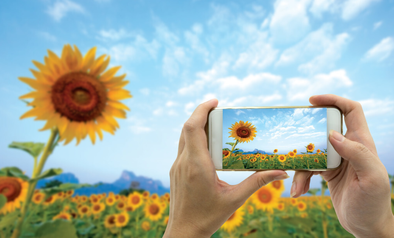 别人做自媒体一天赚几百，你却没收益？做好这几点轻松月入过万