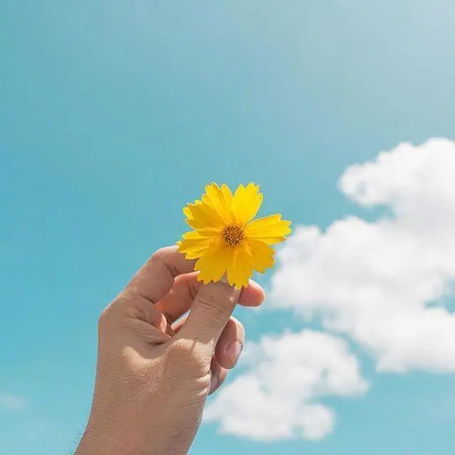 对生活充满美好的句子 未来可期的正能量句子图片