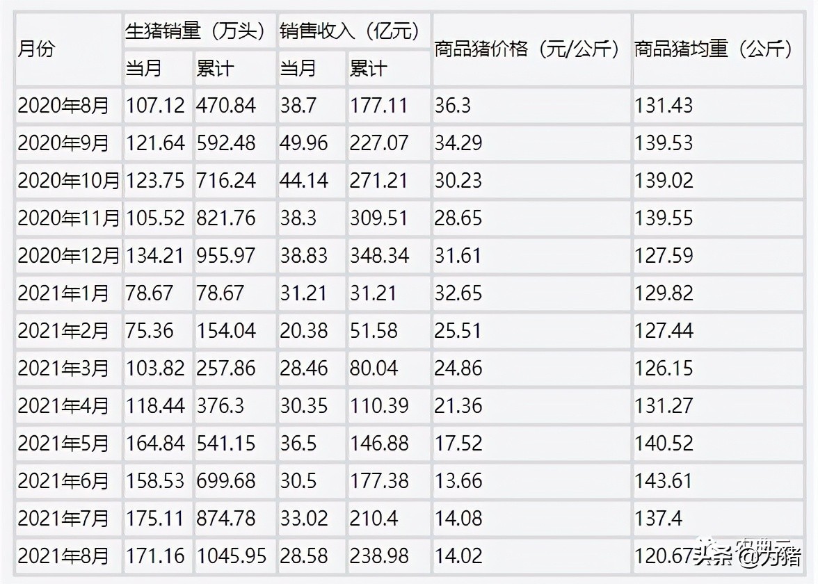 10大猪企8月数据：牧原正邦温氏新希望四龙头猪价最高不达14.5元