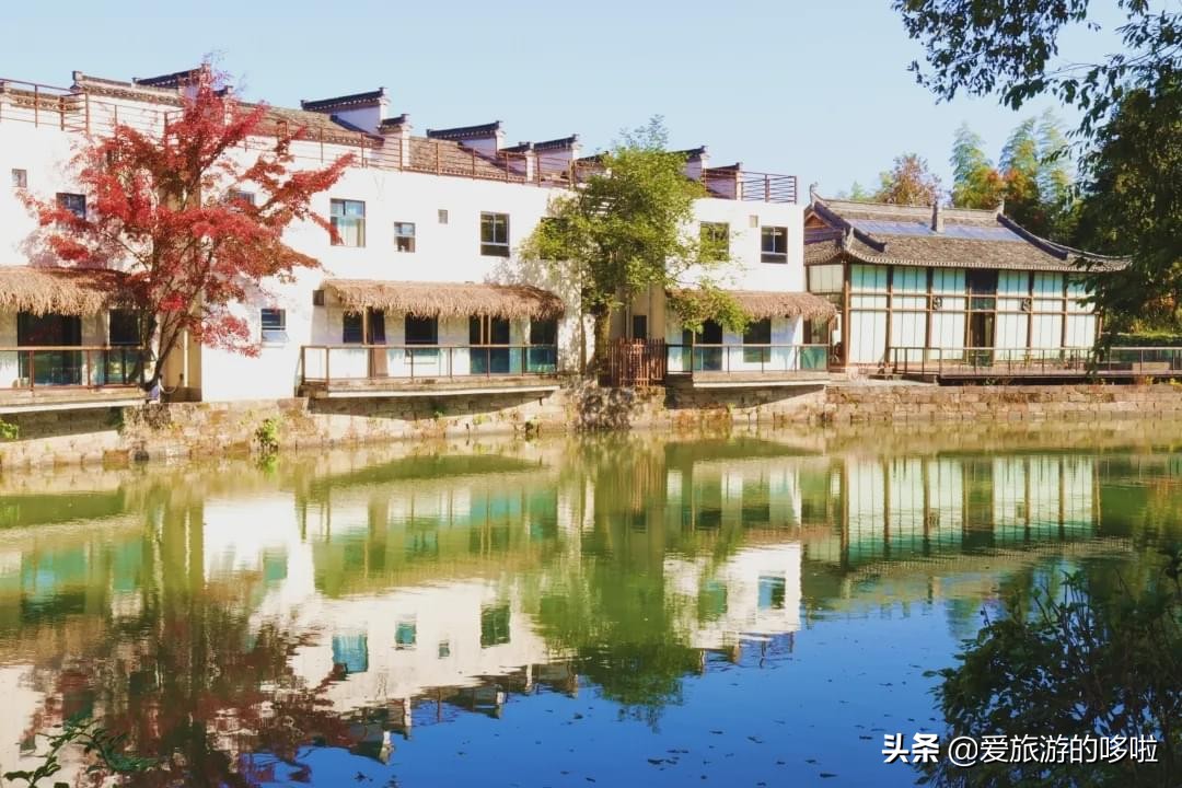 The best place to travel in October-November, the late autumn tour bus is about to depart