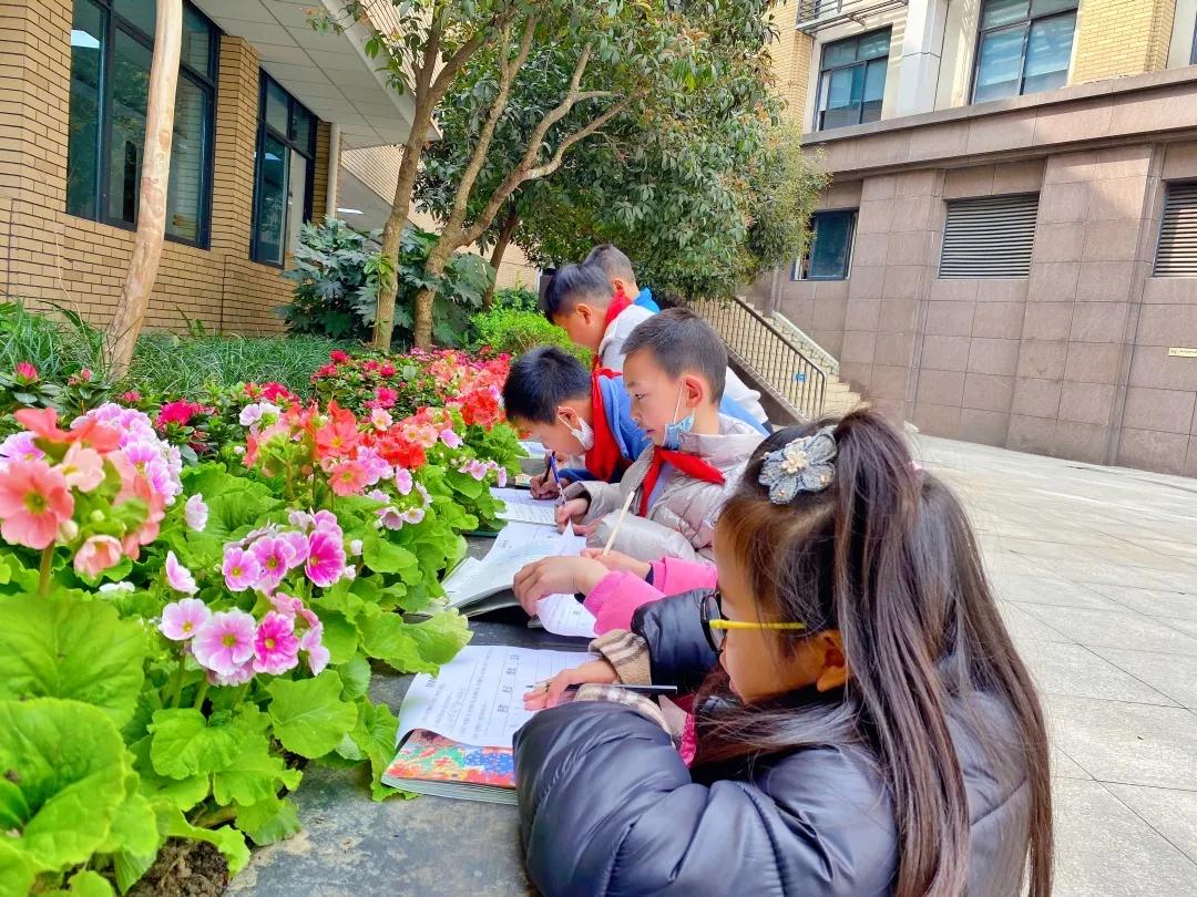 带上五官到校园里寻找春天——成都市华中附小大自然的语文课