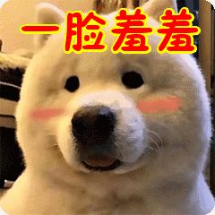 吃这些东西可以让你更“性福”?