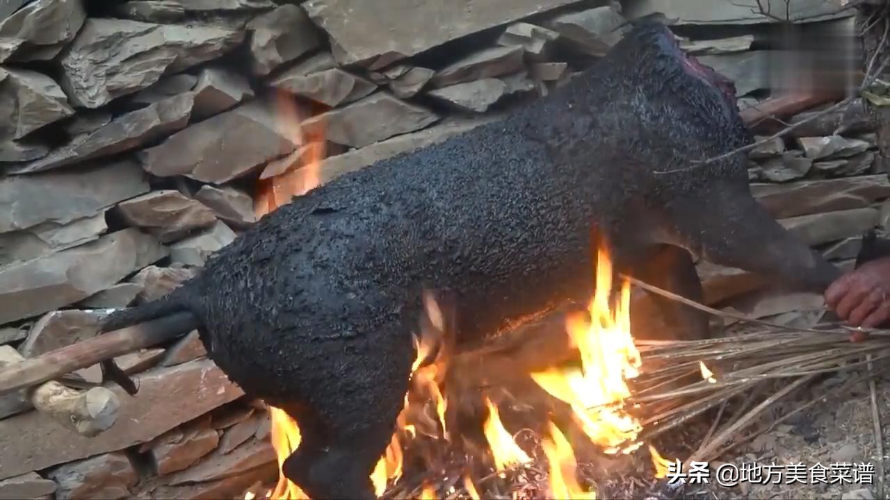 中国小伙送尼泊尔山区贫困户一头猪，解决了他们一年的肉食问题