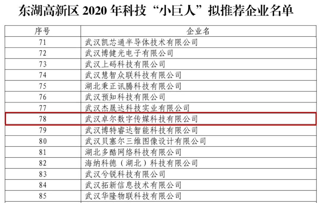 卓尔智联旗下卓尔数科入选东湖高新2020年科技“小巨人”