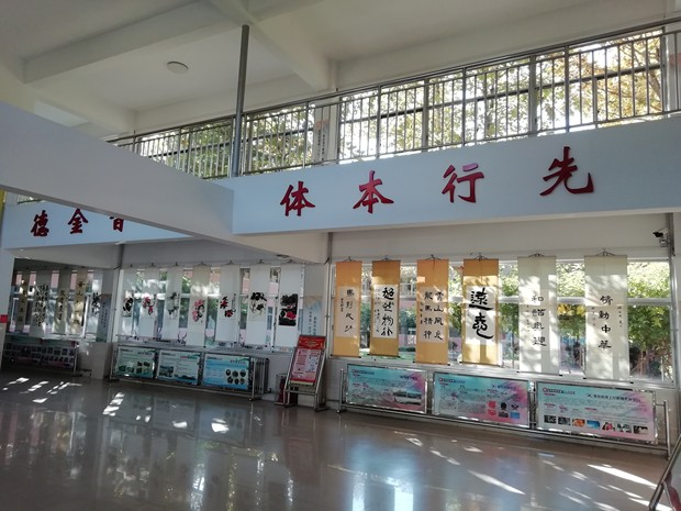 奎文区金宝实验小学：办适合孩子发展的教育(图4)