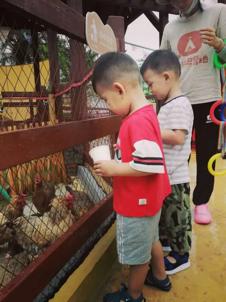 深圳又一遛娃胜地，城市中的自然成长乐园，野趣精致的户外营地