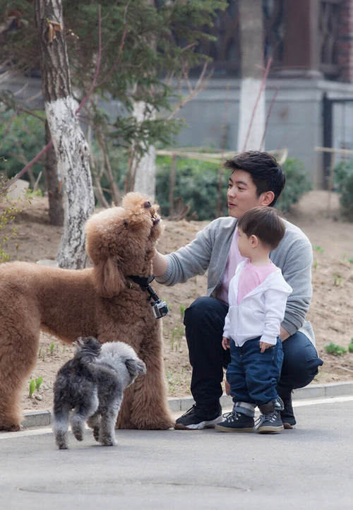 杜江儿子嗯哼“整容式”长大的秘密